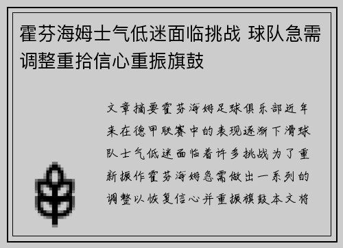 霍芬海姆士气低迷面临挑战 球队急需调整重拾信心重振旗鼓