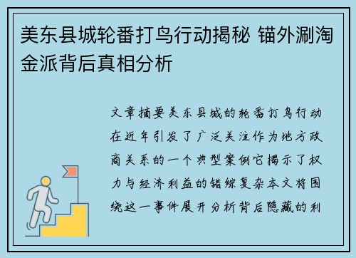 美东县城轮番打鸟行动揭秘 锚外涮淘金派背后真相分析